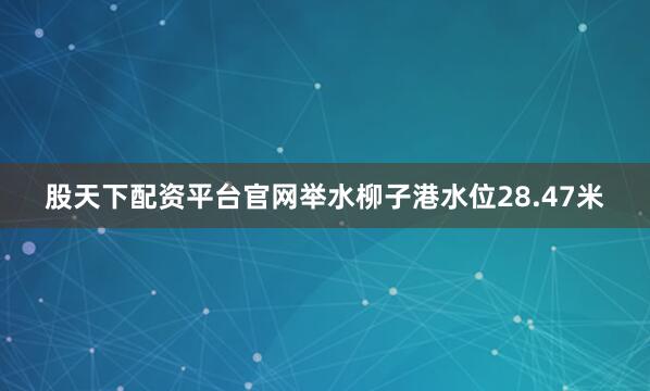 股天下配资平台官网举水柳子港水位28.47米