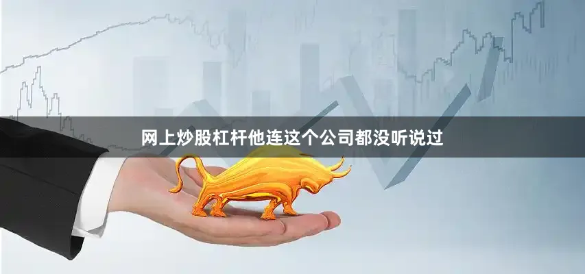 网上炒股杠杆他连这个公司都没听说过