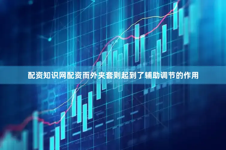 配资知识网配资而外夹套则起到了辅助调节的作用